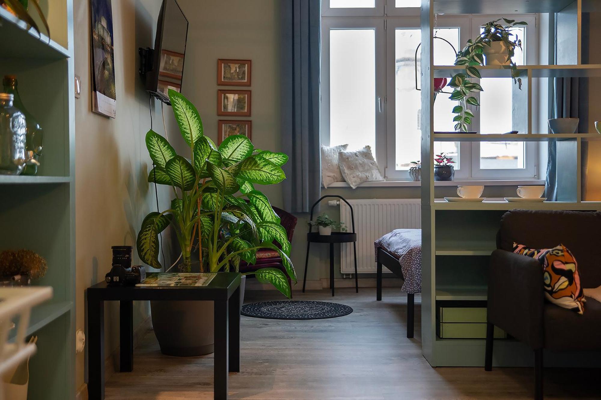 Apartament U Olechny 5 บิดกอชซ์ ภายนอก รูปภาพ